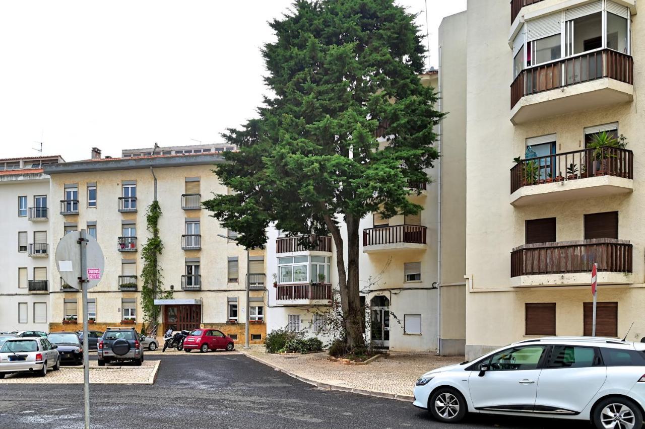 Cascais Studio Outdoor Patio Newly Renovated Exterior photo